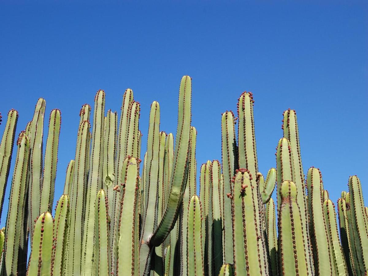 Los Lagos 20 By Villagrancanaria سالوبر المظهر الخارجي الصورة